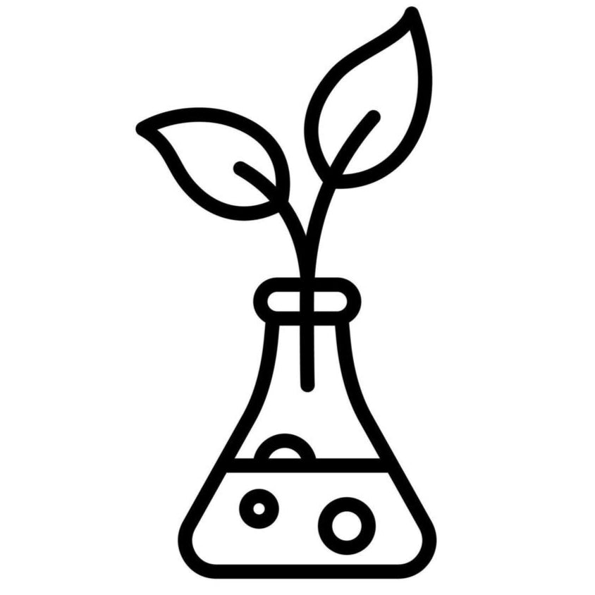 Better Sensory & Bioactive Preservation